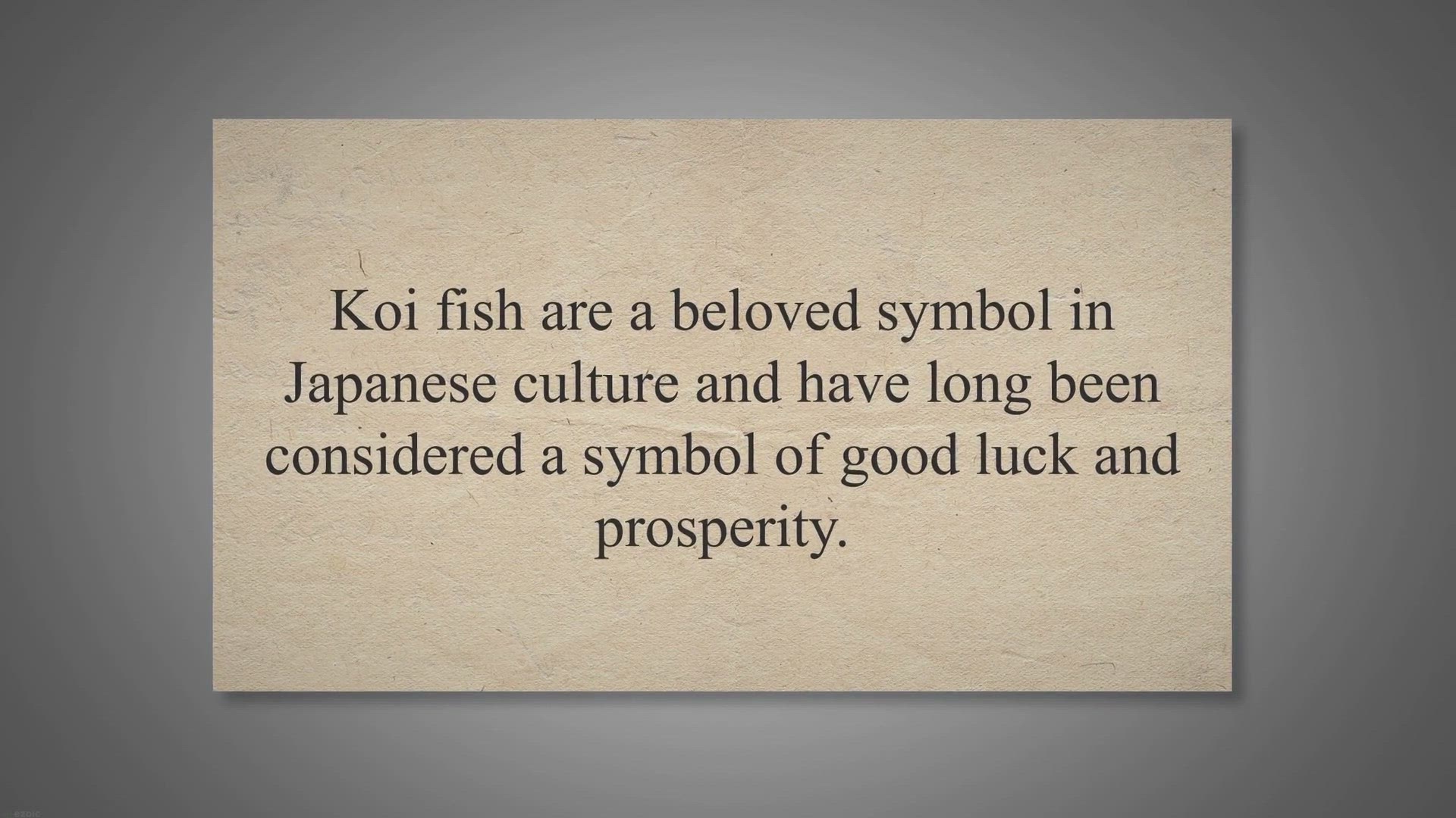 'Video thumbnail for Why Koi Fish Are Considered Good Luck By The Japanese?'