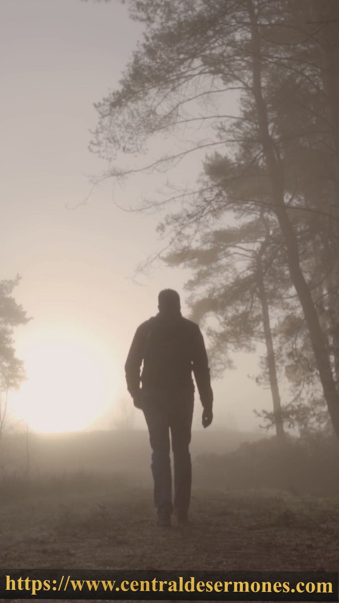'Video thumbnail for 🙏 Empieza Tu Día con Dios: Oraciones de la Mañana para Fe y Esperanza 🌞 #shorts | En armonía con tu voluntad'