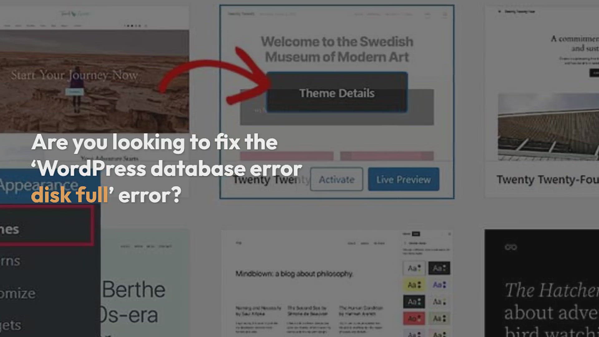 'Video thumbnail for How to Fix the “WordPress Database Error Disk Full” Error'