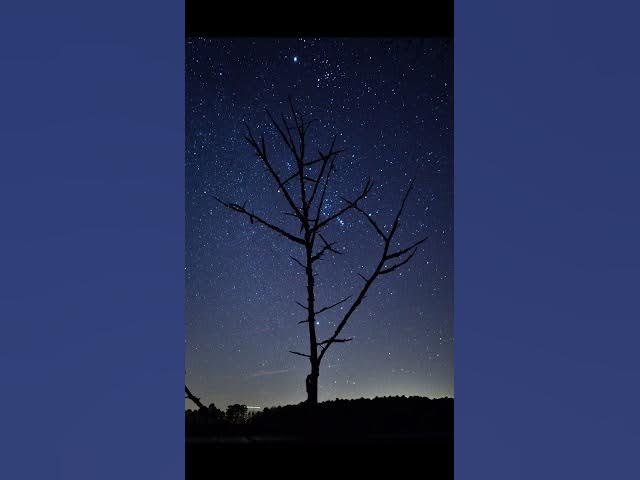 Video thumbnail for Polaris, the Northern Pole Star #space #nightsky #alphaursaeminoris
