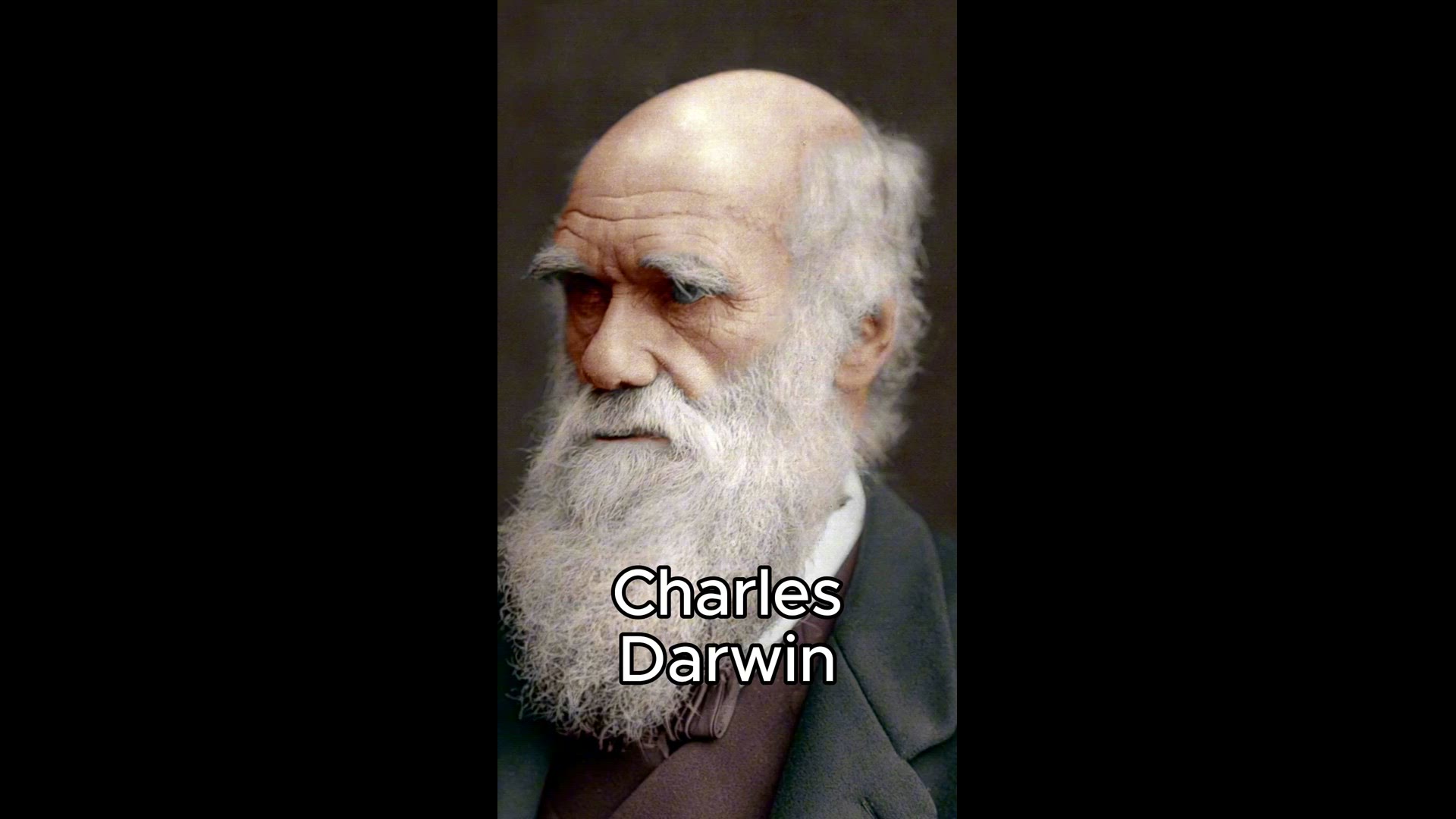 Video thumbnail for Twelve Famous INTPs