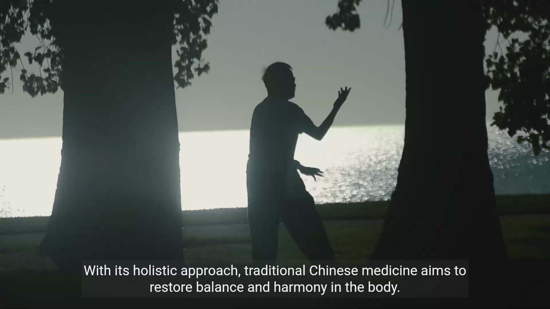 'Video thumbnail for Traditional Chinese Medicine: Healing Patients'