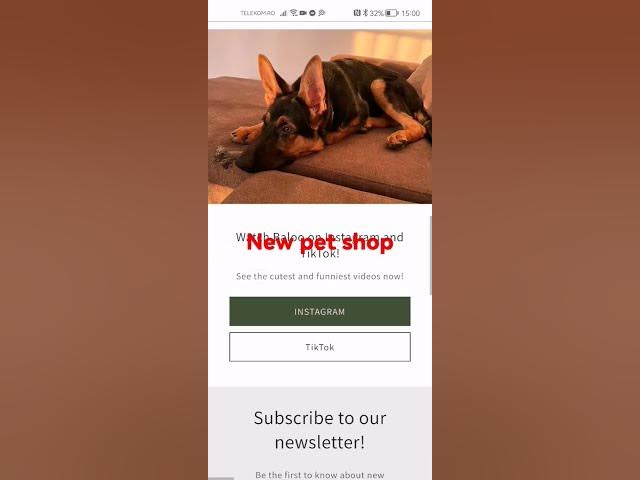 'Video thumbnail for https://bit.ly/3AEWB2B Products with #CBD, #raw #meat, and many others!'
