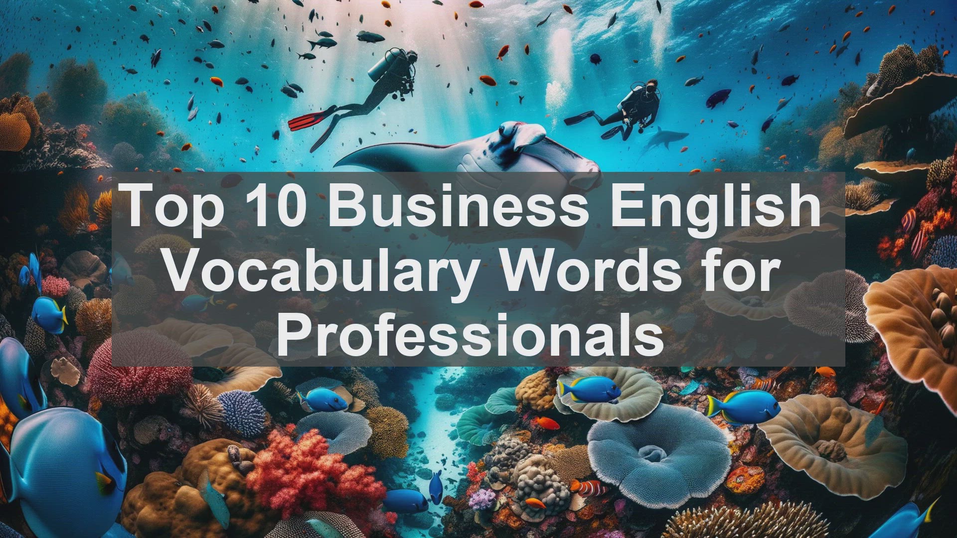 'Video thumbnail for Top 10 Business English Vocabulary Words for Professionals'