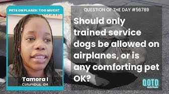Video thumbnail for Tamora I believes, if your service goat helps on airplanes, bring your goat!