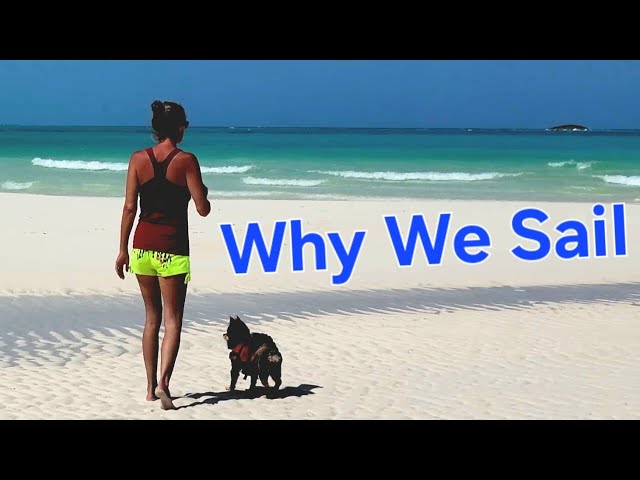 'Video thumbnail for Sail from Beautiful Shroud Cay to Exciting Pig Beach | Ep 67 #svaguaazul #caribbean #exumas'