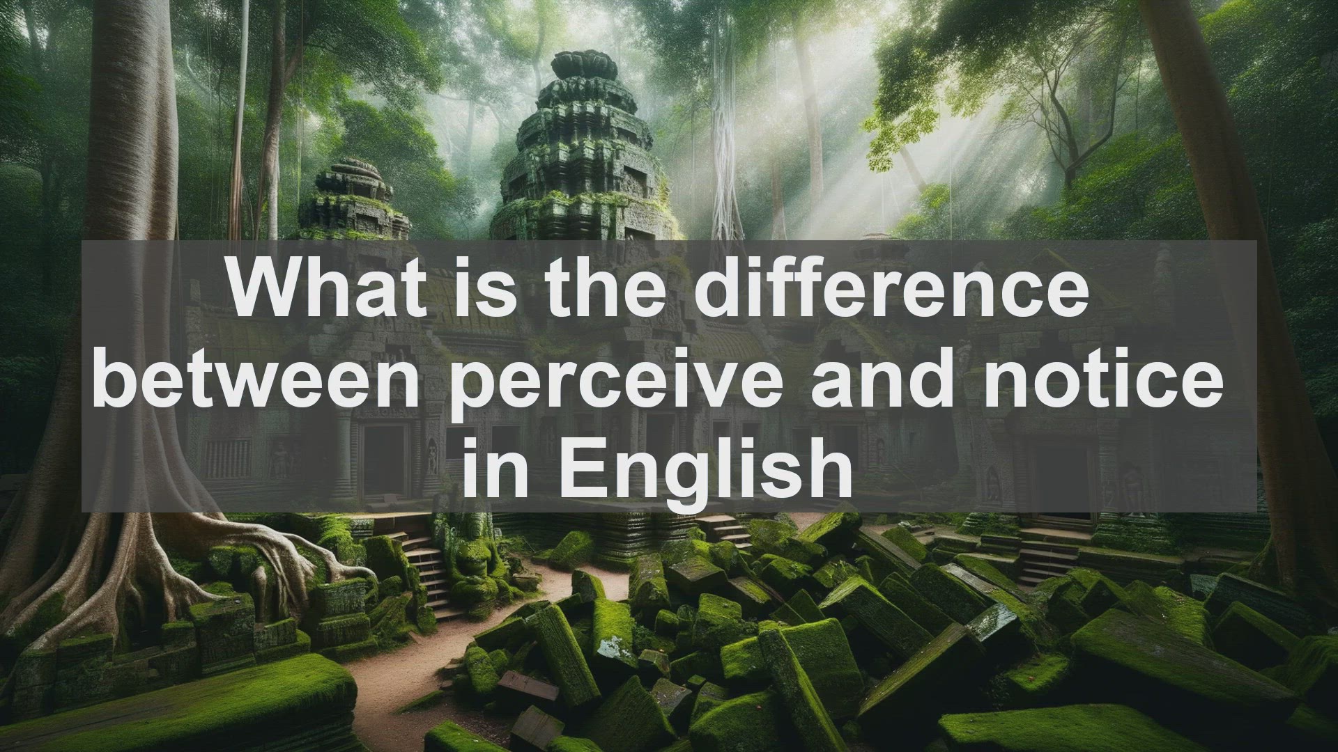 'Video thumbnail for What is the difference between perceive and notice in English?'