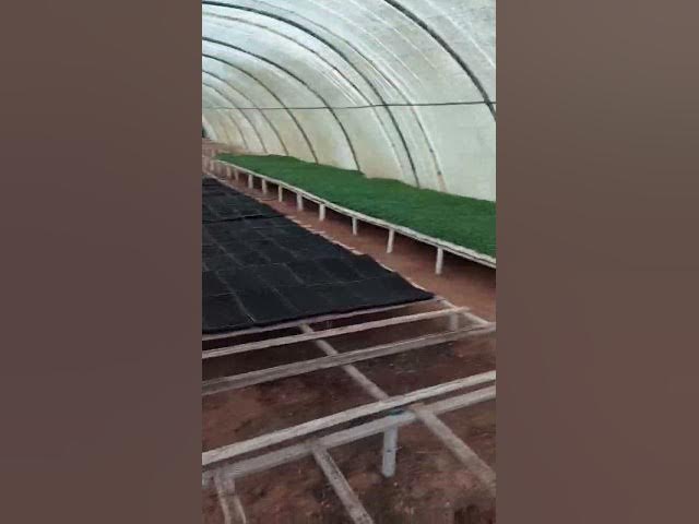 Video thumbnail for Ultra plus 45 مجموعة المناصير