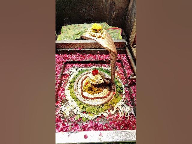 Video thumbnail for omkareshwar Jyotirlinga daily darshan.11-May-2025 #jyotirlinga_darshan #omkareshwar #shiva #darshan