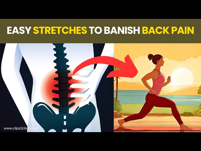 'Video thumbnail for 7 Best Lower Back Pain Exercises to Relieve Pain and Improve Mobility'