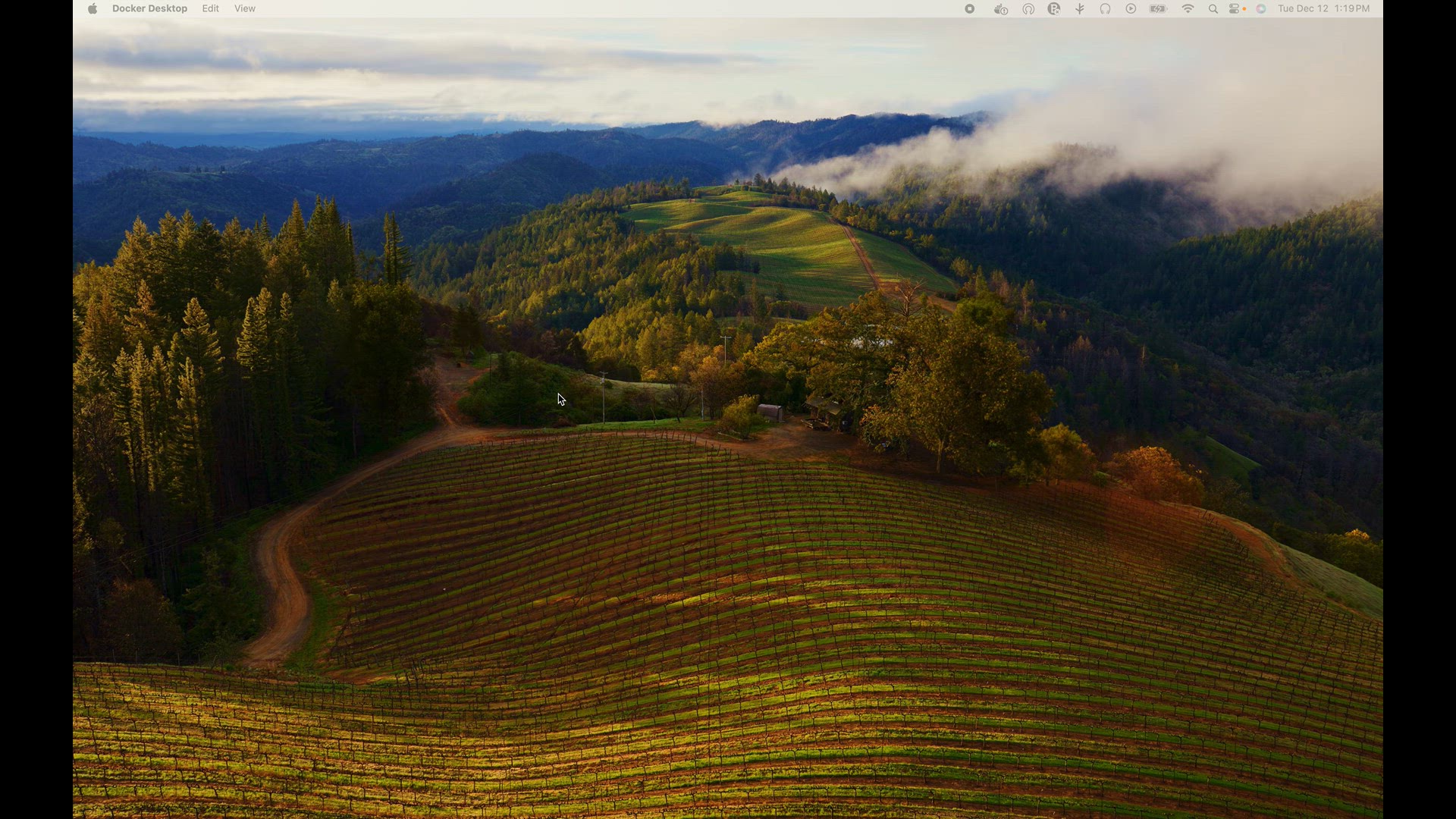 Video thumbnail for Screen Recording 2023-12-12 at 1.19.44 PM