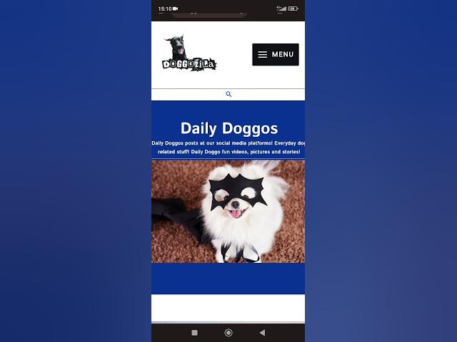 'Video thumbnail for Daily Doggos - Dog health #dailydoggos #doghealth #dogfun #dogplay #dogmagazine #puppylife #doggoals'