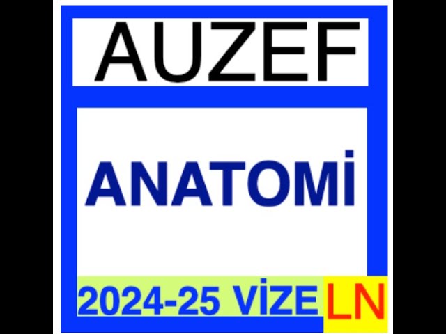 'Video thumbnail for Auzef Anatomi 2024 - 2025 Vize Soruları'