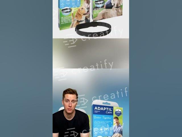 'Video thumbnail for BaLooGsd.com'