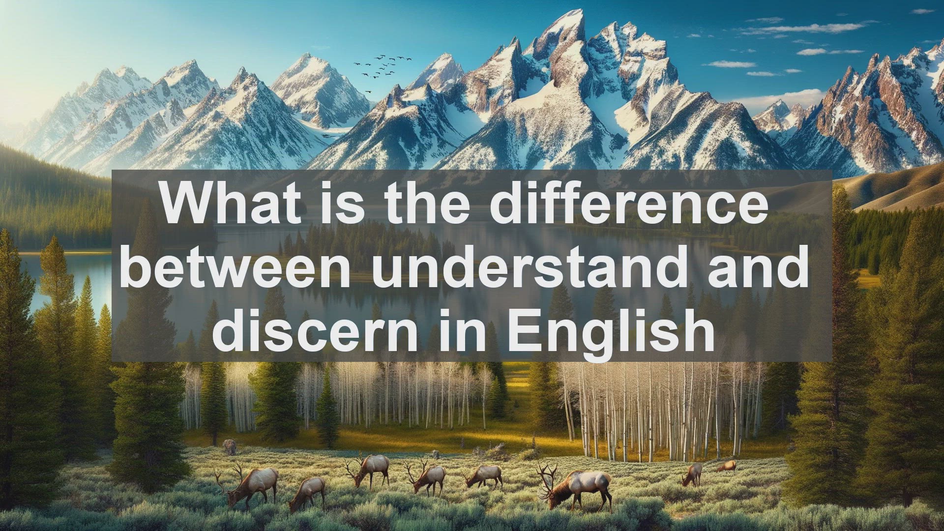 'Video thumbnail for What is the difference between understand and discern in English?'