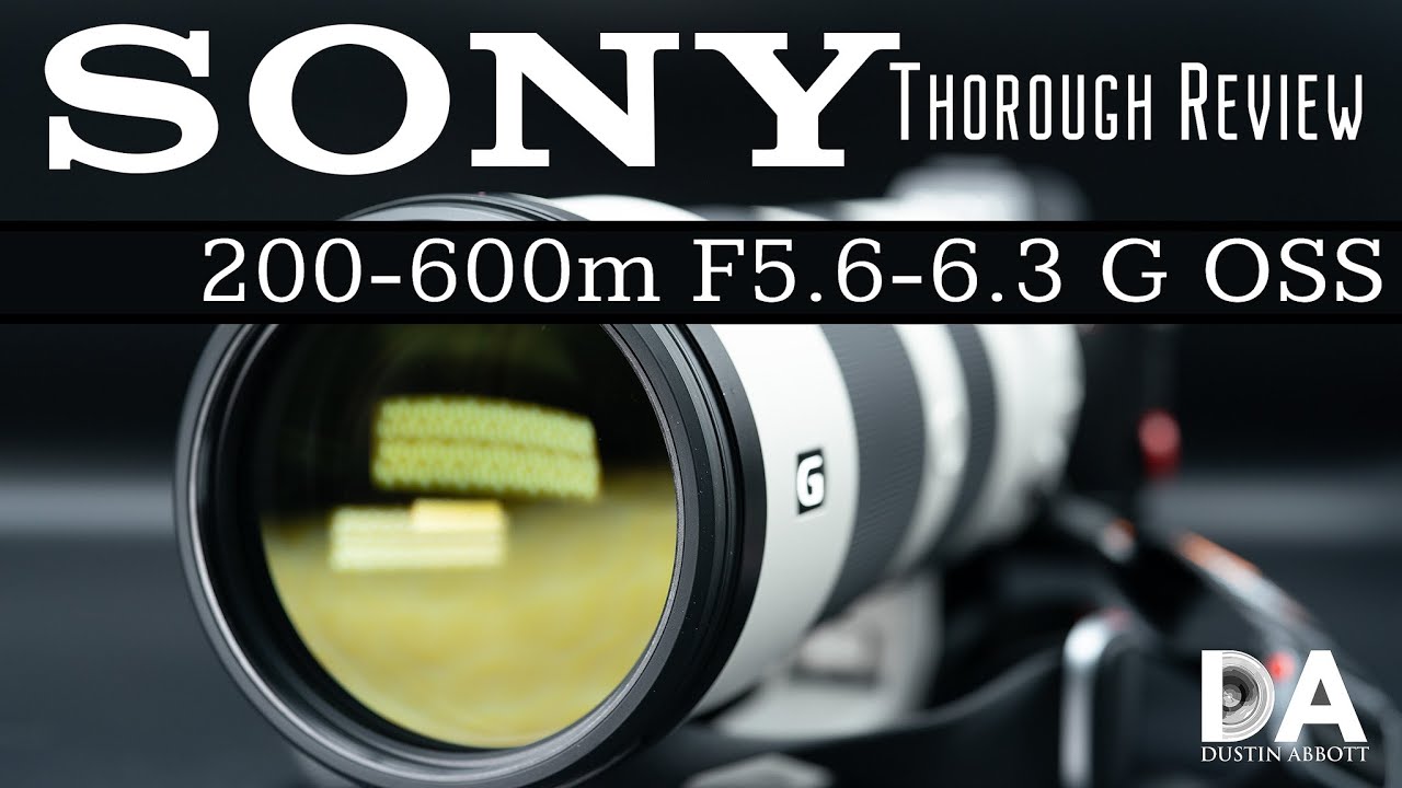 Sony 200-600mm Lens Review: Wildlife Photography Field Test - Nature TTL