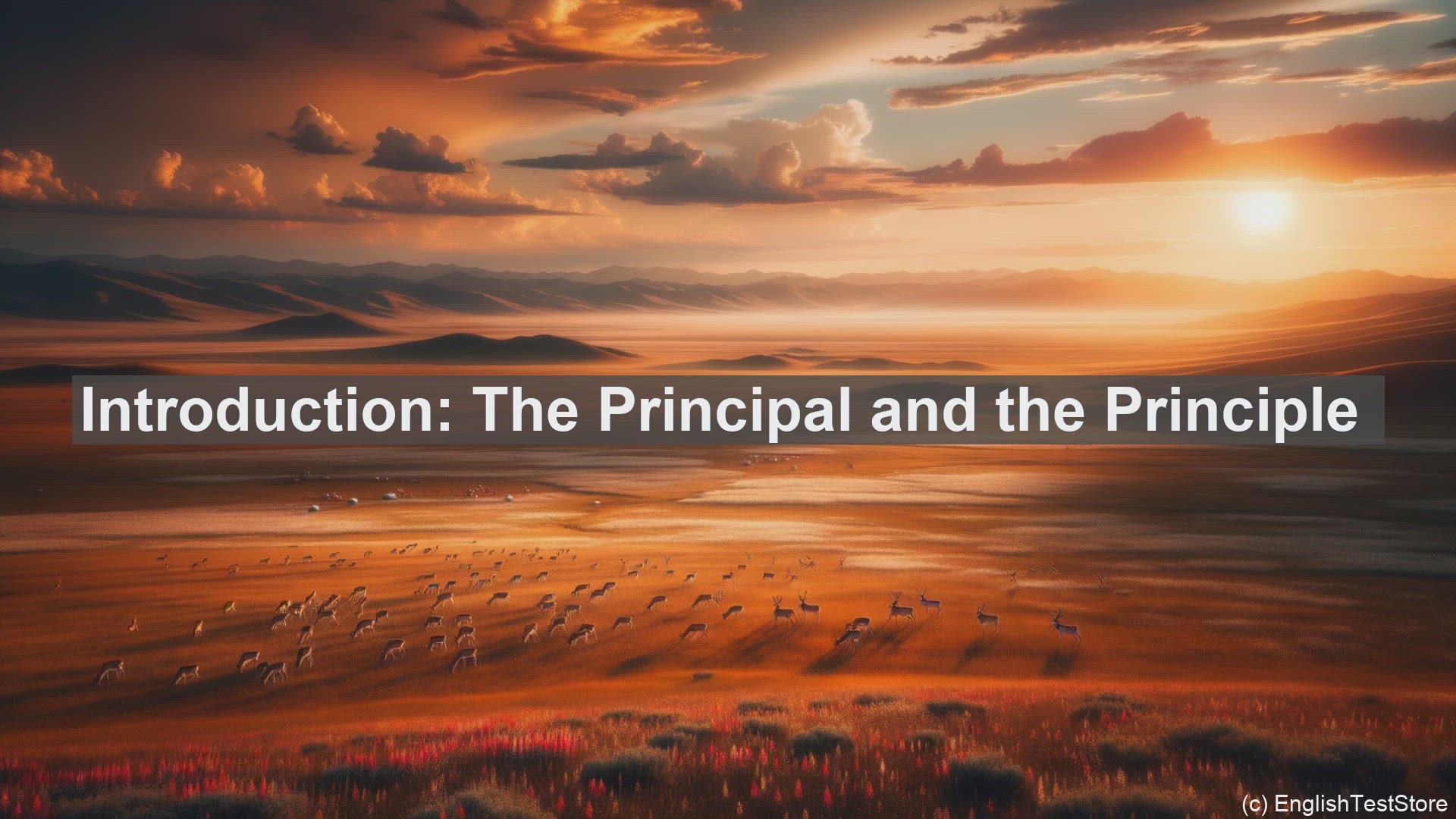 'Video thumbnail for What is the difference between principal and principle in English?'
