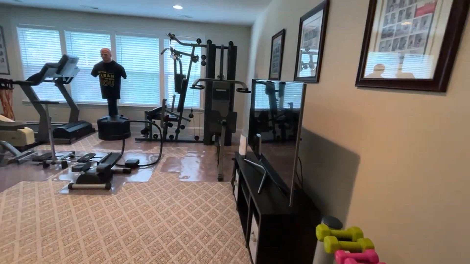 Home gym over online carpet