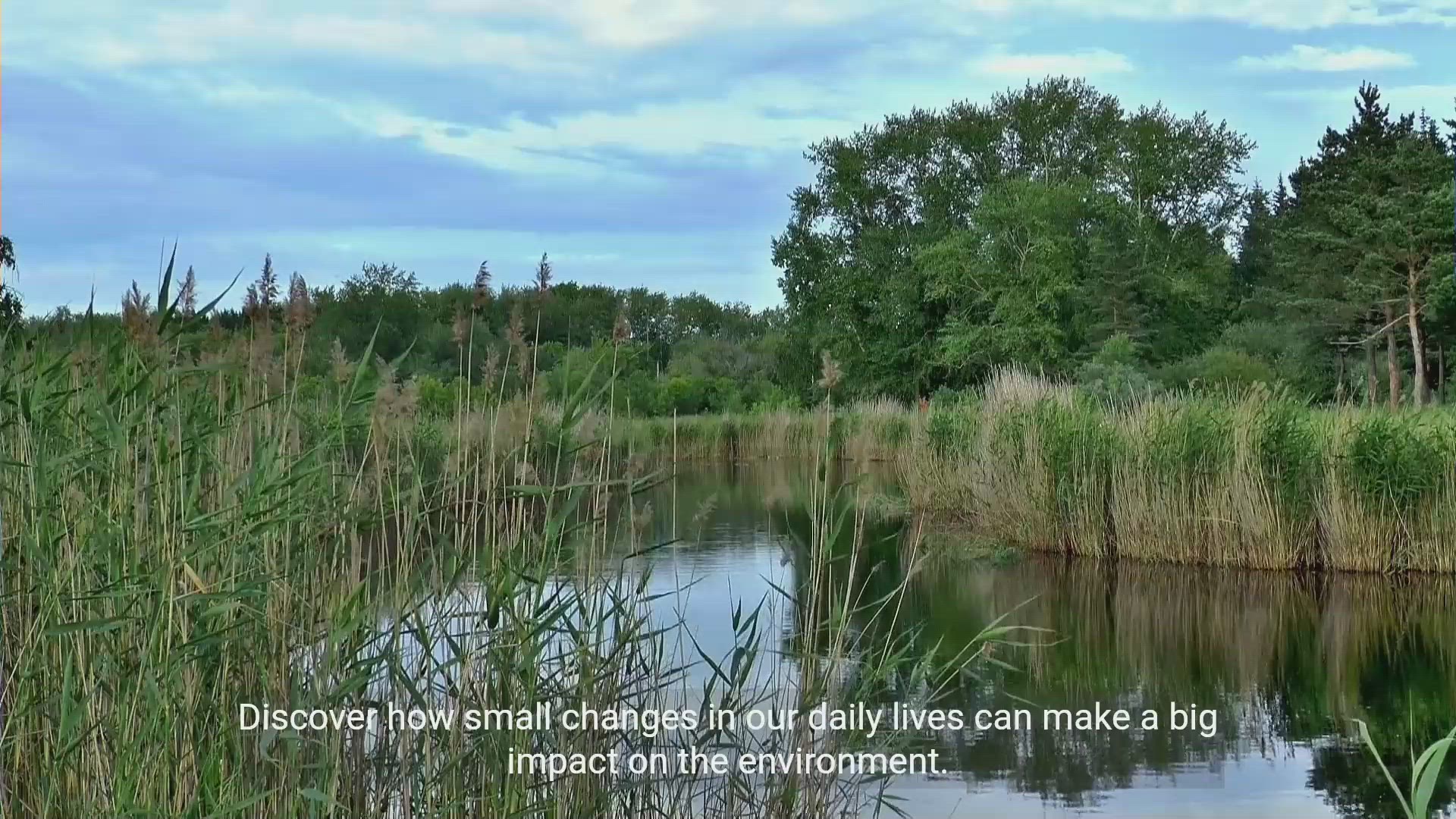 'Video thumbnail for Green Living: Sustainable Practices for a Greener Future'