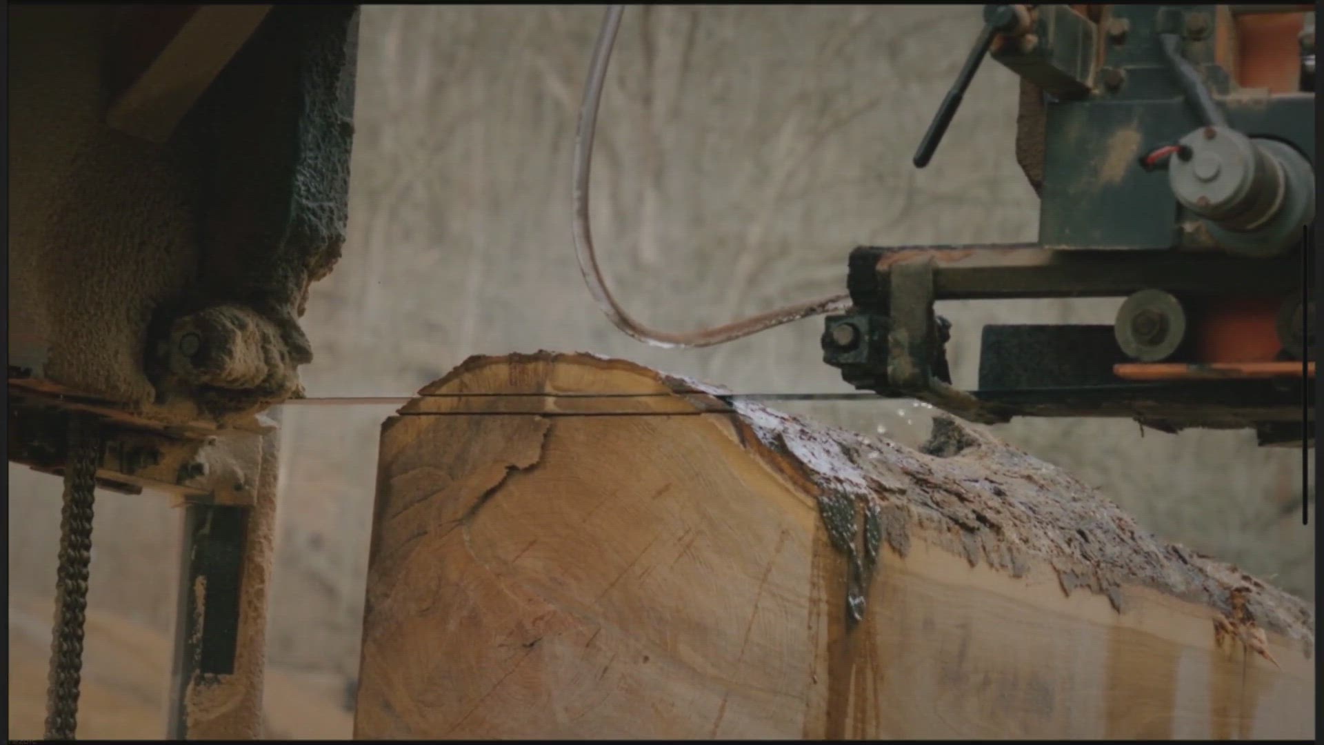 Video thumbnail for Hevea Wood (Rubberwood) vs Birch | Uses, Identification, and Workability