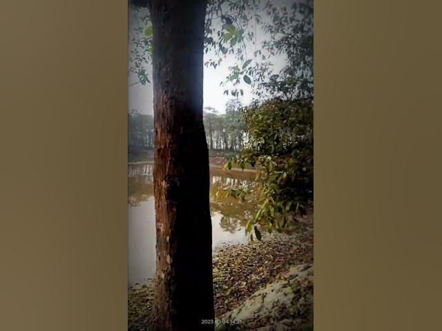 Video thumbnail for Bhutiya Pokhar Raniganj #raniganj