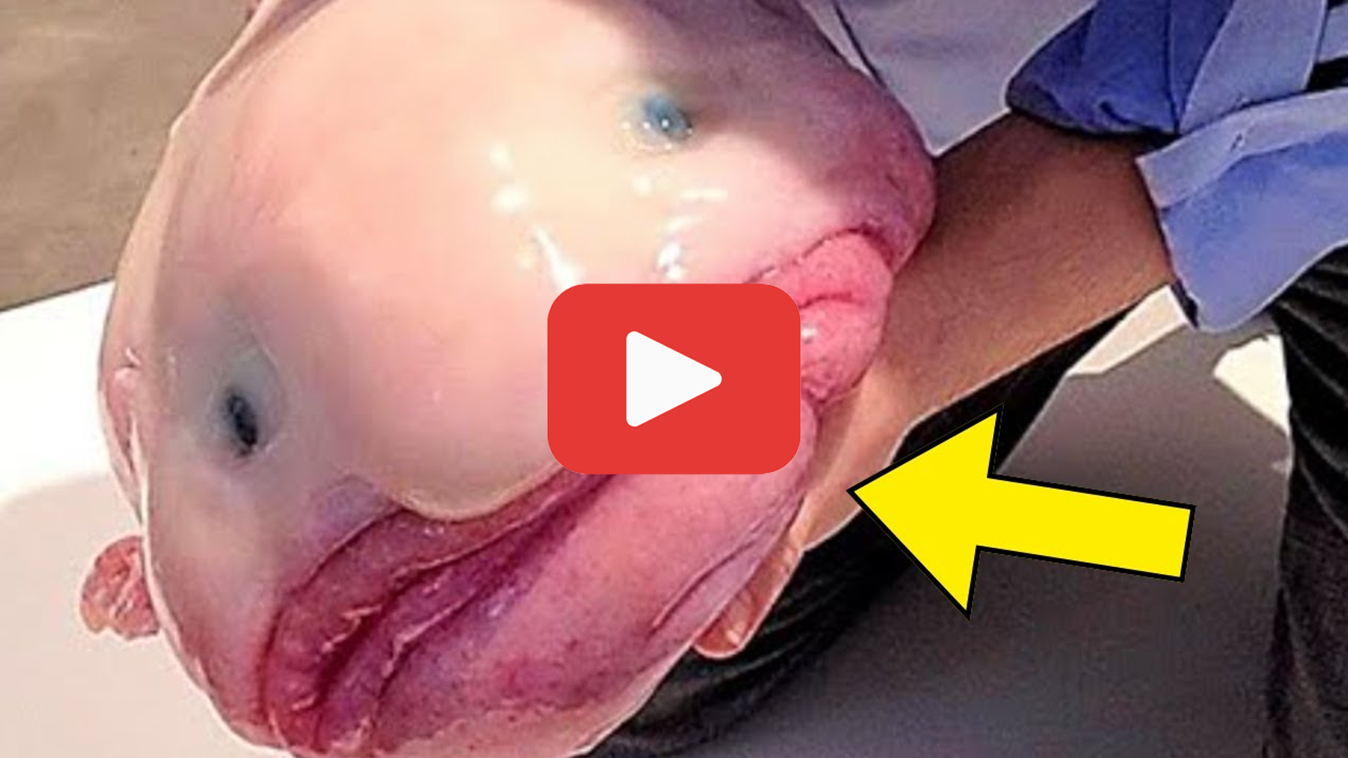 'Video thumbnail for What He Found in His Toilet Wasn’t a Fish—It Was Unbelievable'