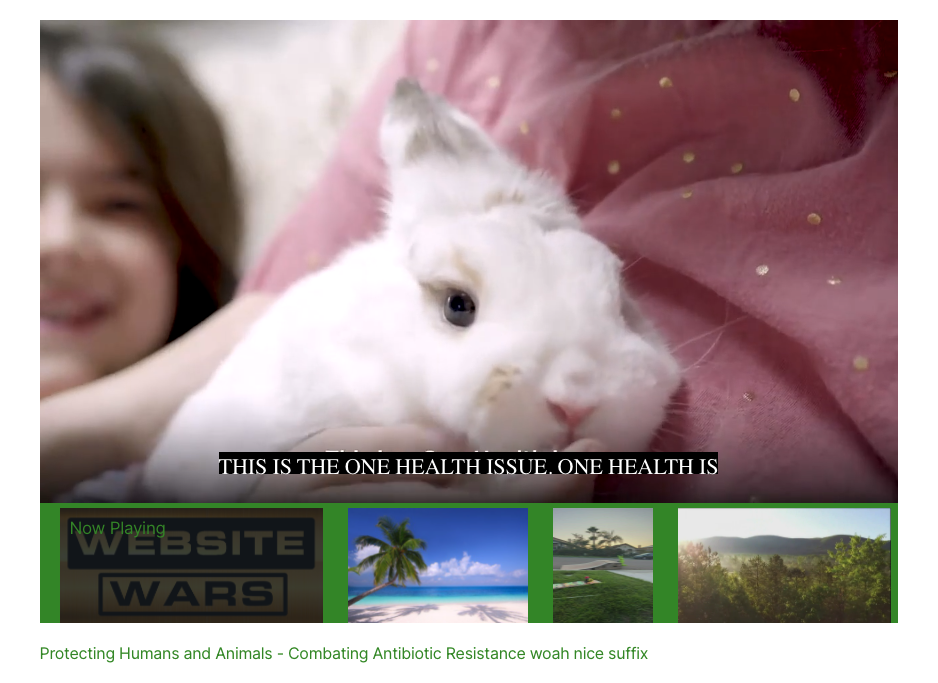 'Video thumbnail for title test'