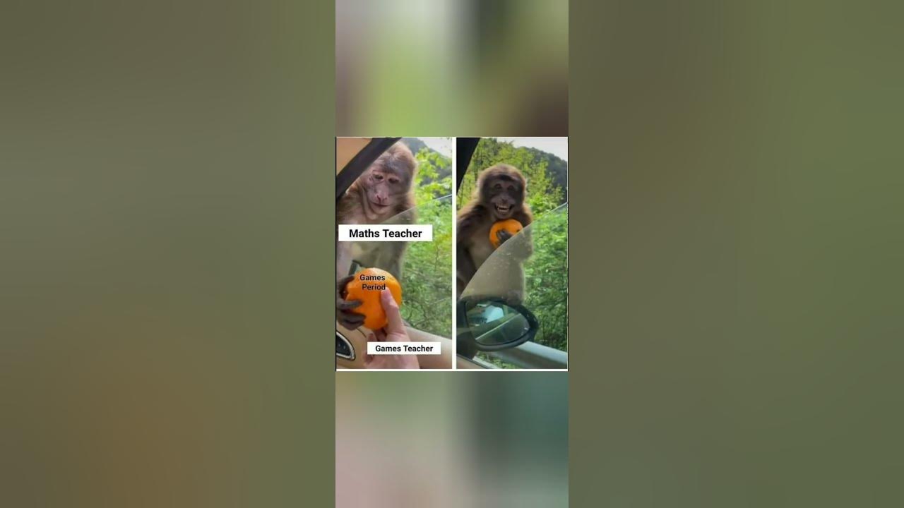 'Video thumbnail for funny memes that will make you laugh #348 || legend memes || funny relatable memes 😃 #shorts'