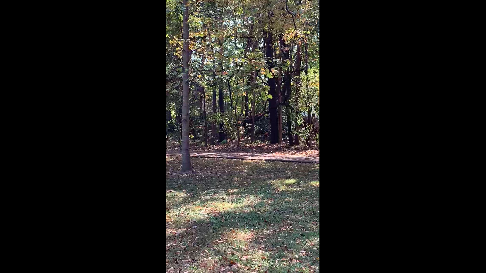 Video thumbnail for trim.06FB3409-2B74-46E4-A44F-DE6DAA724634