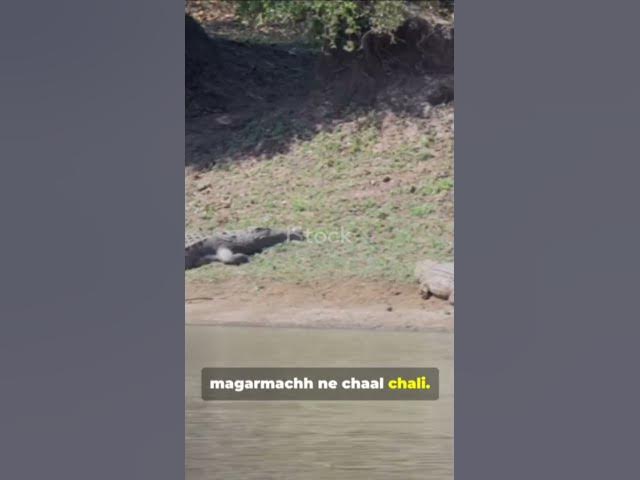 Video thumbnail for 🐒🐒