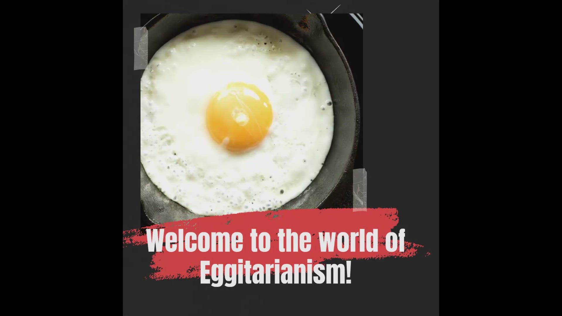 'Video thumbnail for Exploring Eggitarianism'