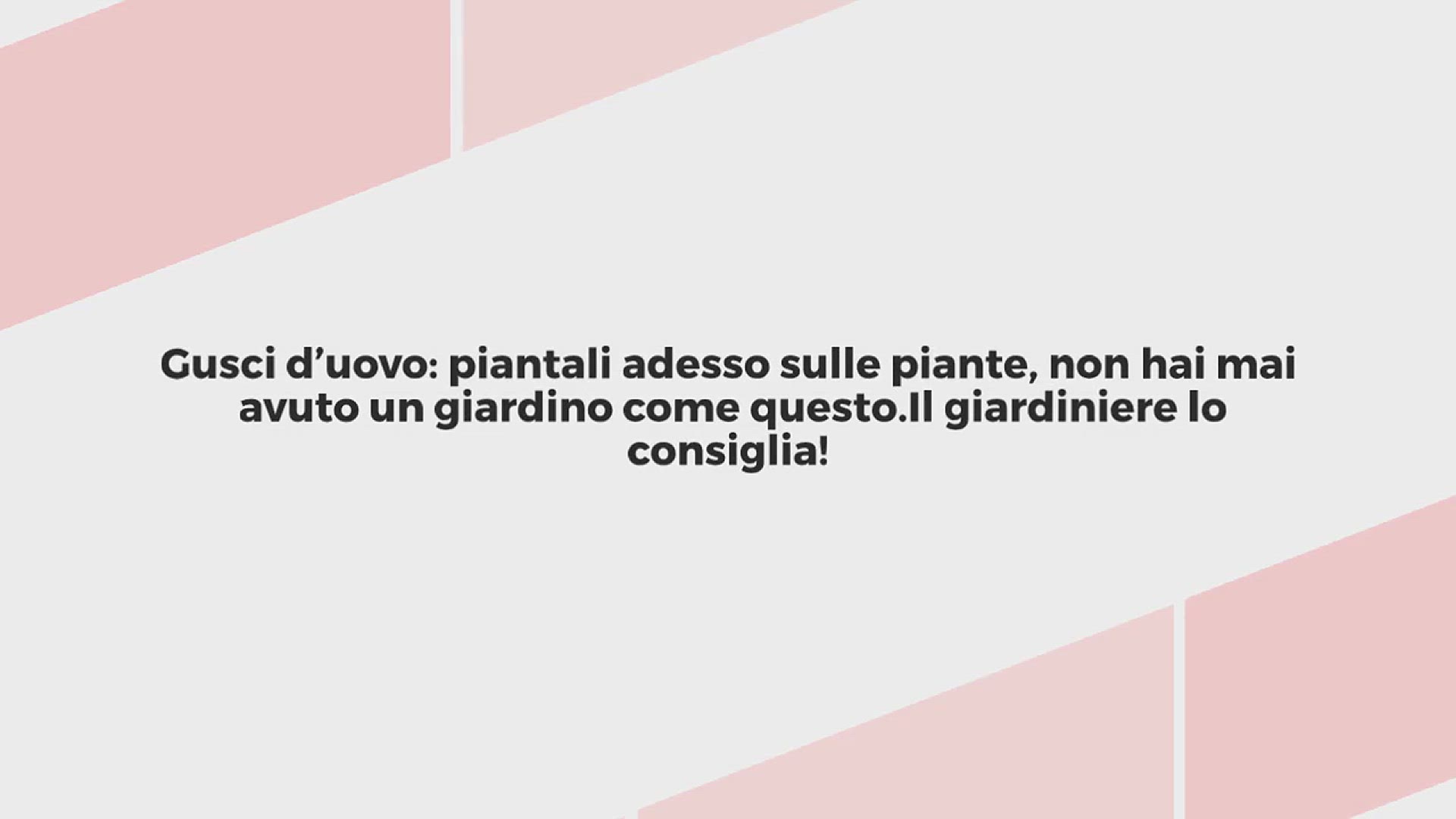 Video thumbnail for Gusci d’uovo: piantali adesso sulle piante, non hai mai avuto un giardino come questo. Il giardiniere lo consiglia!