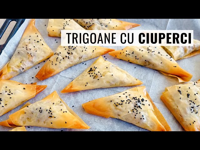 'Video thumbnail for 🍄 TRIGOANE cu CIUPERCI in foi subțiri de plăcintă - rețetă de post'