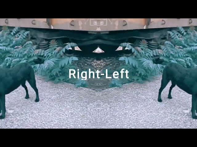 'Video thumbnail for Doggo go Left and Right #doghumor #dogtravel #happydogs'