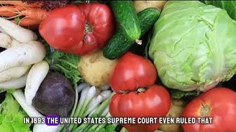 'Video thumbnail for "Veggie Voyage: 10 Fascinating Fun Facts About Your Favorite Vegetables!"'