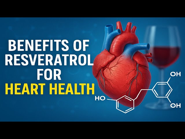 Video thumbnail for Resveratrol: The Longevity Secret That Reverses Heart Aging (Science-Backed Dosing)