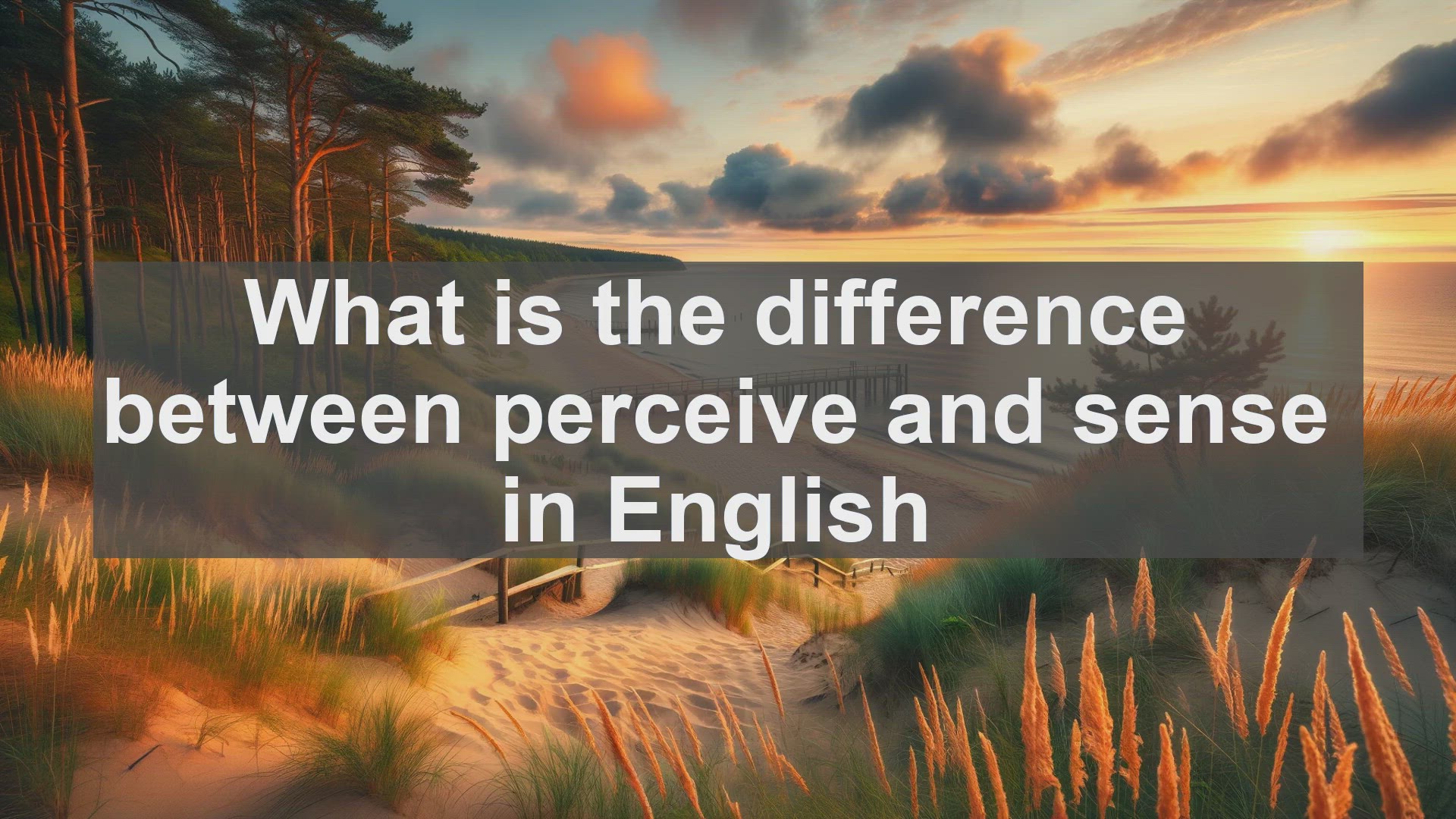 'Video thumbnail for What is the difference between perceive and sense in English?'
