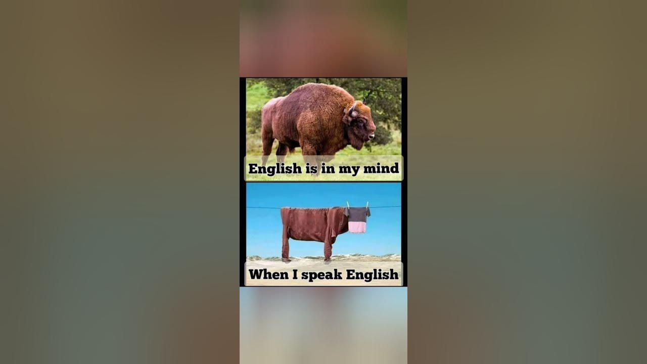 'Video thumbnail for funny memes that will make you laugh #579 || legend memes ||  funny relatable memes 😂 #memes #shorts'