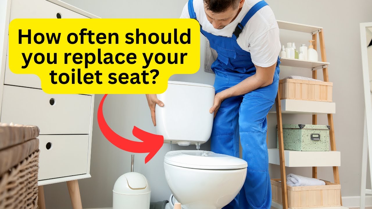 'Video thumbnail for How often should you replace your toilet seat? | Expert advice'