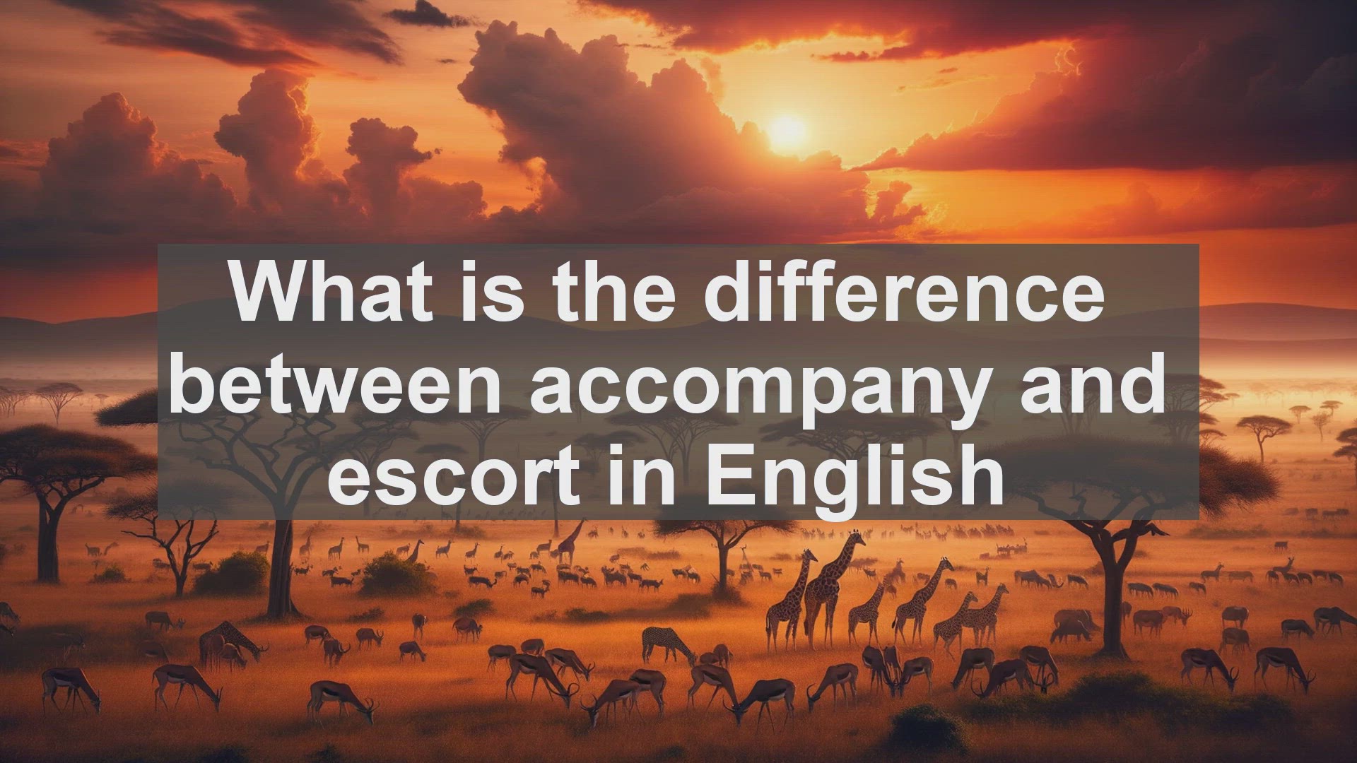 'Video thumbnail for What is the difference between accompany and escort in English?'
