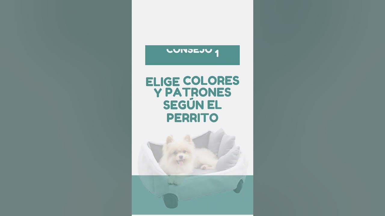 Video thumbnail for 馃悤 驴Te encanta la costura y el DIY? 鉁傦笍   #negociodesdecasa