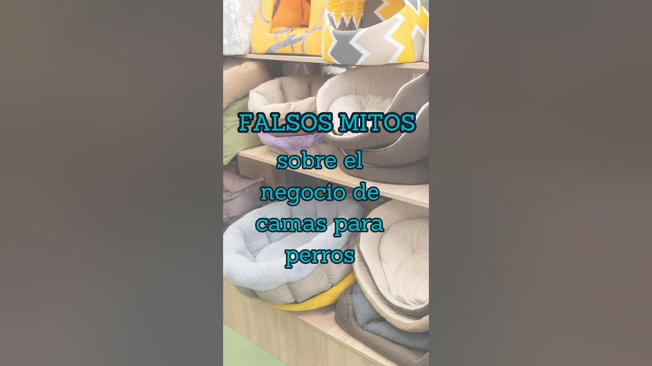 Video thumbnail for Falsos mitos de empezar con camas de perros desde casa. #negociodesdecasa