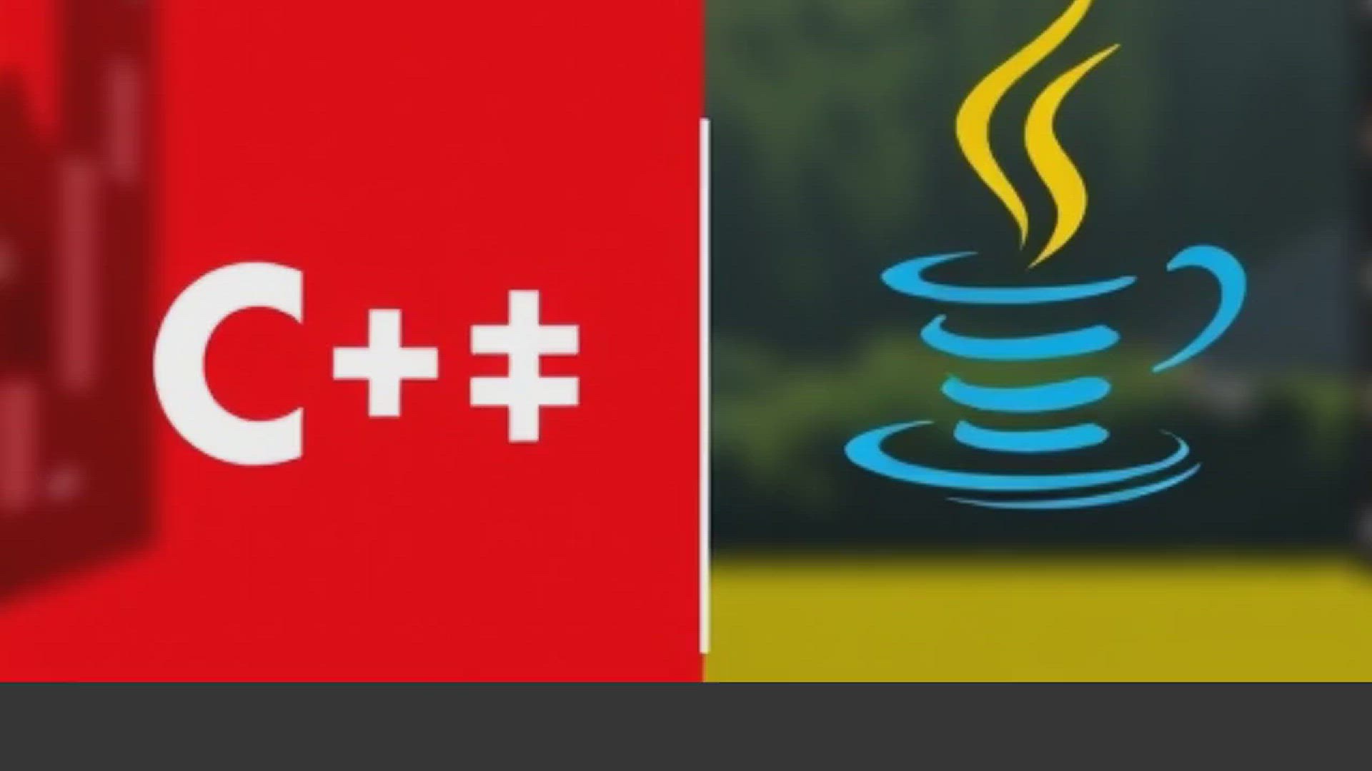 'Video thumbnail for C++ vs Java'