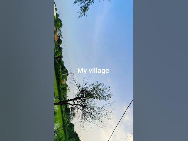 Video thumbnail for my village nature 😀 #myvillage #naturelovers #ilovemyvillage #myfirstblog #nature