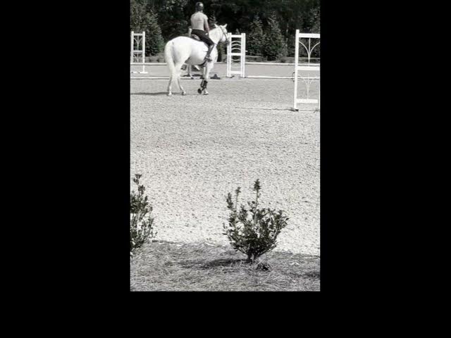 Video thumbnail for BOLERO FLYINGGGG OVER DA MOOON 🌕