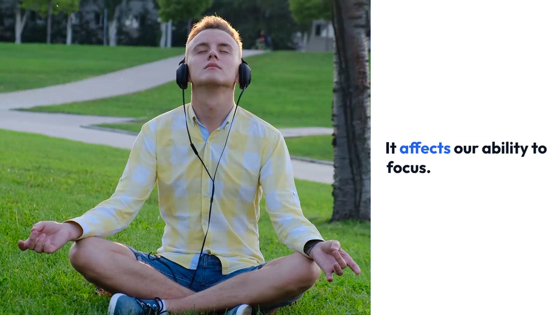 Video thumbnail for Focus Strategies in a Digital Age