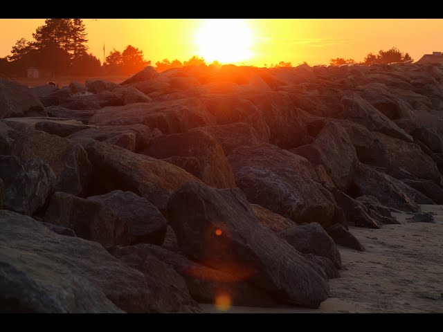 Video thumbnail for learning about alcoholic disorders