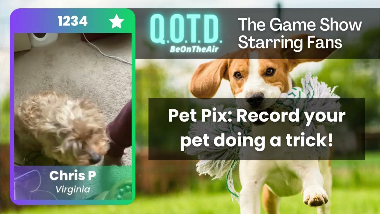 Video thumbnail for Our Favorite Answers: Chris' dog can do an amazing trick... sometimes!