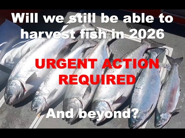 'Video thumbnail for Will we still be able to fish in 2026 and beyond? ACTION REQUIRED'