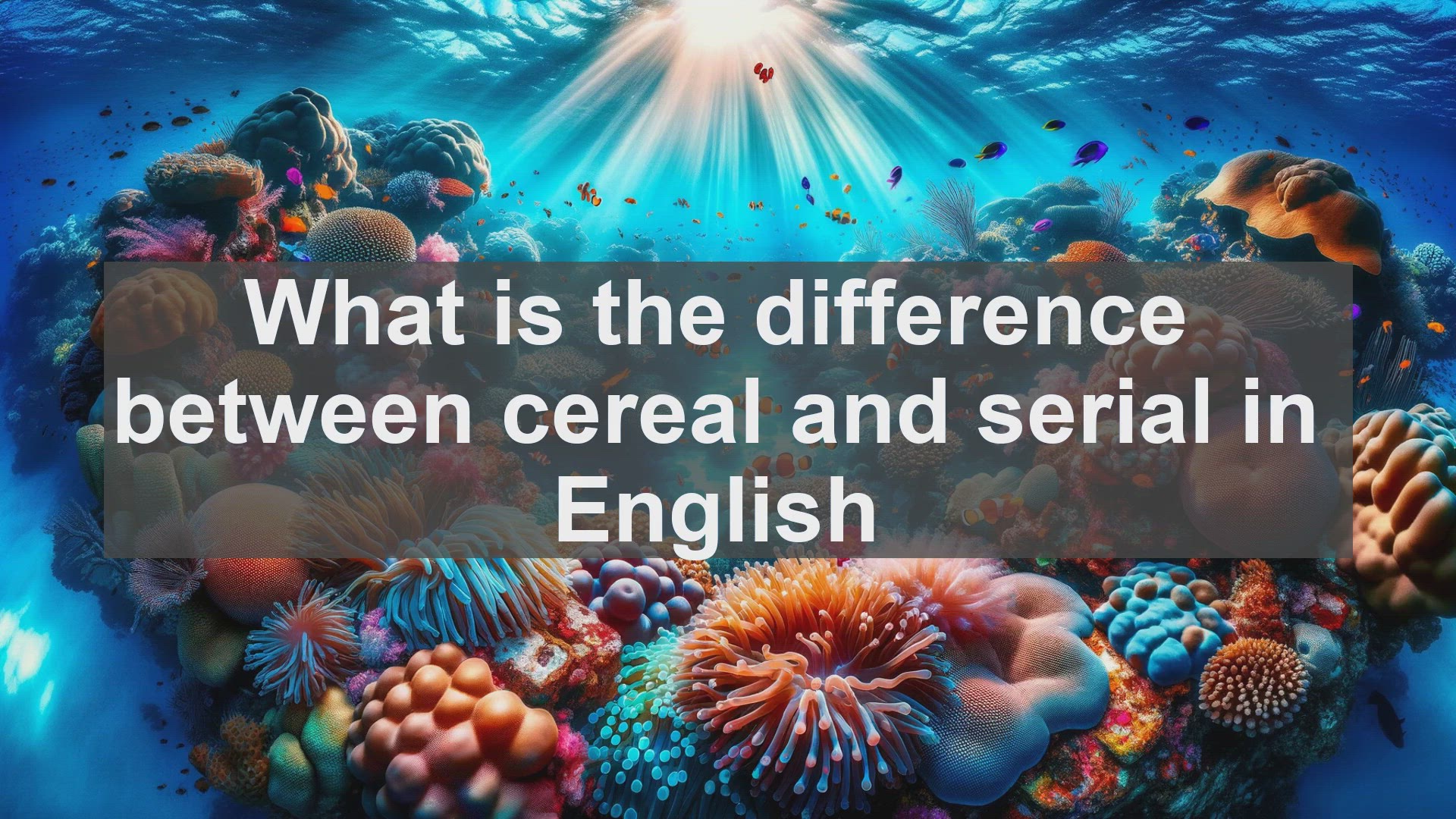 'Video thumbnail for What is the difference between cereal and serial in English?'